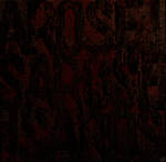 A ROSE IS A ROSE IS A ROSE