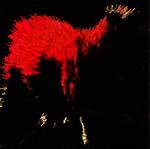 NEW ZEALAND SHEEP RUNNING STRAIGHT INTO MANHATTAN